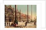 Pigeons in St. Mark's Place, Venice, Italy, c.1890-c.1900 by Anonymous