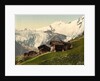 Saas Fee, alpine view, Valais, Alps of, Switzerland, c.1890-c.1900 by Anonymous