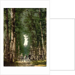 Hohesonne and view of the Wartburg, Wartburg, Thuringia, German, c.1890-c.1900 by Anonymous