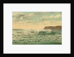 Point Loma, San Diego, California, c.1890-c.1900 by Anonymous