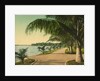 The walk at Palm Beach, c.1898 by Anonymous