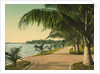 The walk at Palm Beach, c.1898 by Anonymous
