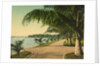 The walk at Palm Beach, c.1898 by Anonymous