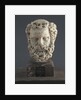 Head of a Bearded Man, 1312-14 by Giovanni Pisano
