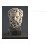 Head of a Bearded Man, 1312-14 by Giovanni Pisano