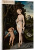 Venus with Cupid Stealing Honey, 1530 by Lucas the Elder Cranach