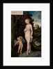 Venus with Cupid Stealing Honey, 1530 by Lucas the Elder Cranach