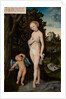 Venus with Cupid Stealing Honey, 1530 by Lucas the Elder Cranach