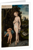 Venus with Cupid Stealing Honey, 1530 by Lucas the Elder Cranach