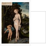 Venus with Cupid Stealing Honey, 1530 by Lucas the Elder Cranach