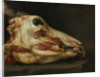 Skinned Head of a Young Bull, c.1690 by Felice Boselli