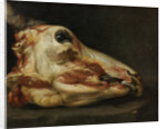Skinned Head of a Young Bull, c.1690 by Felice Boselli