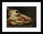 Skinned Head of a Young Bull, c.1690 by Felice Boselli