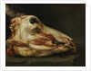 Skinned Head of a Young Bull, c.1690 by Felice Boselli