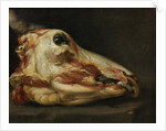 Skinned Head of a Young Bull, c.1690 by Felice Boselli