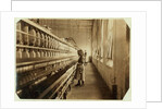 Sadie Pfeifer, only 4 feet tall, has worked for 6 months at Lancaster Cotton Mills, South Carolina, 1908 by Lewis Wickes Hine