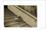 Newsboy asleep with his papers in Jersey City, New Jersey, 1912 by Lewis Wickes Hine