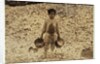 5 year old migrant shrimp-picker Manuel in front of a pile of oyster shells by Lewis Wickes Hine