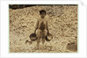 5 year old migrant shrimp-picker Manuel in front of a pile of oyster shells by Lewis Wickes Hine