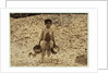 5 year old migrant shrimp-picker Manuel in front of a pile of oyster shells by Lewis Wickes Hine