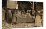 Bill May, aged 5 who makes 15 cents a day, in the shucking shed at Barataria Canning Company, Biloxi, Mississippi, 1911 by Lewis Wickes Hine
