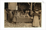 Bill May, aged 5 who makes 15 cents a day, in the shucking shed at Barataria Canning Company, Biloxi, Mississippi, 1911 by Lewis Wickes Hine