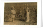 Millie, aged 4 picks 8 pounds of cotton a day and Nellie 5, picks 30 on a farm near Houston, Texas, 1913 by Lewis Wickes Hine