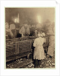 Factory of Lowden Canning Company, Bluffton, South Carolina by Lewis Wickes Hine
