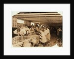 Rosy aged 8 works a 14 hour day as an oyster shucker at Dunbar Cannery, Louisiana, 1911 by Lewis Wickes Hine