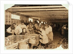 Rosy aged 8 works a 14 hour day as an oyster shucker at Dunbar Cannery, Louisiana, 1911 by Lewis Wickes Hine