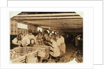 Rosy aged 8 works a 14 hour day as an oyster shucker at Dunbar Cannery, Louisiana, 1911 by Lewis Wickes Hine