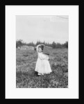 Jennie Camillo picking cranberries at Theodore Budd's Bog, Turkeytown, New Jersey, 1910 by Lewis Wickes Hine