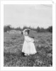 Jennie Camillo picking cranberries at Theodore Budd's Bog, Turkeytown, New Jersey, 1910 by Lewis Wickes Hine