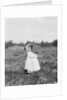 Jennie Camillo picking cranberries at Theodore Budd's Bog, Turkeytown, New Jersey, 1910 by Lewis Wickes Hine