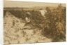 A six year old Polish girl picking berries all day with her family by Lewis Wickes Hine