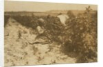 A six year old Polish girl picking berries all day with her family by Lewis Wickes Hine