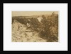 A six year old Polish girl picking berries all day with her family by Lewis Wickes Hine