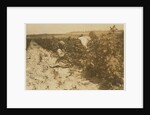 A six year old Polish girl picking berries all day with her family by Lewis Wickes Hine