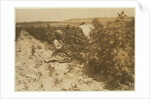 A six year old Polish girl picking berries all day with her family by Lewis Wickes Hine