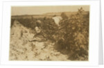 A six year old Polish girl picking berries all day with her family by Lewis Wickes Hine