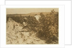 A six year old Polish girl picking berries all day with her family by Lewis Wickes Hine