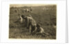 Jo Arnao 3, picking cranberries with his brother 6 and sister 9 at Whites Bog, Browns Mills, New Jersey, 1910 by Lewis Wickes Hine