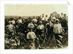 Goodrich Tobacco Farm, near Gildersleeve, Connecticut, 1917 by Lewis Wickes Hine