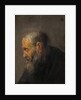 Study of an Old Man in Profile, c. 1630 by Rembrandt Harmensz. van Rijn