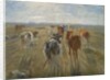 Long Shadows. Cattle on the Island of Saltholm, c. 1890 by Theodor Esbern Philipsen