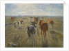 Long Shadows. Cattle on the Island of Saltholm, c. 1890 by Theodor Esbern Philipsen