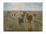 Long Shadows. Cattle on the Island of Saltholm, c. 1890 by Theodor Esbern Philipsen