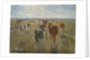Long Shadows. Cattle on the Island of Saltholm, c. 1890 by Theodor Esbern Philipsen