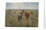 Long Shadows. Cattle on the Island of Saltholm, c. 1890 by Theodor Esbern Philipsen