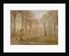 Late Autumn Day in the Jægersborg Deer Park, North of Copenhagen, 1886 by Theodor Esbern Philipsen